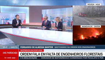 Intervenção do Bastonário da OE sobres os incêndios decorridos em Portugal | SIC Notícias