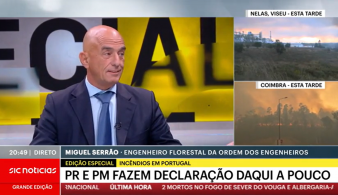 Análise de Miguel Serrão, Coordenador do Conselho Regional de Colégio de Engenharia Florestal, sobre os Incêndios em Portugal