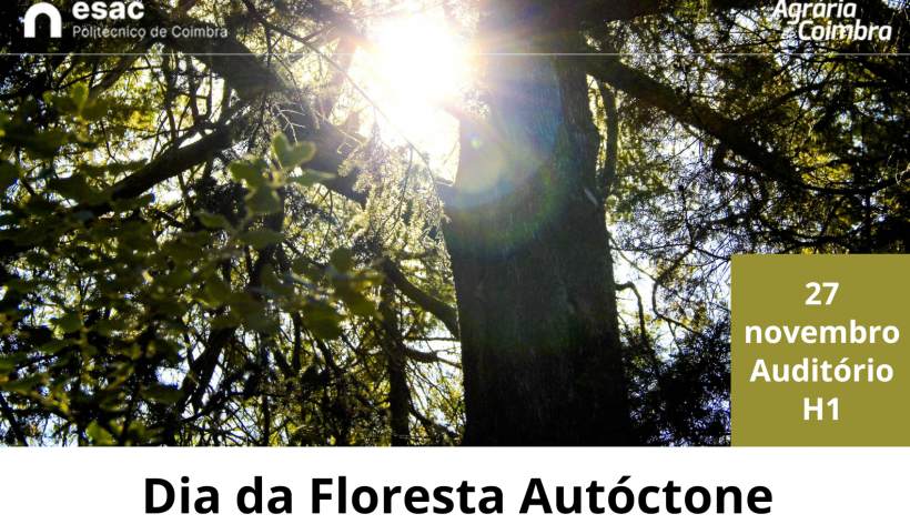 Dia da Floresta Autóctone